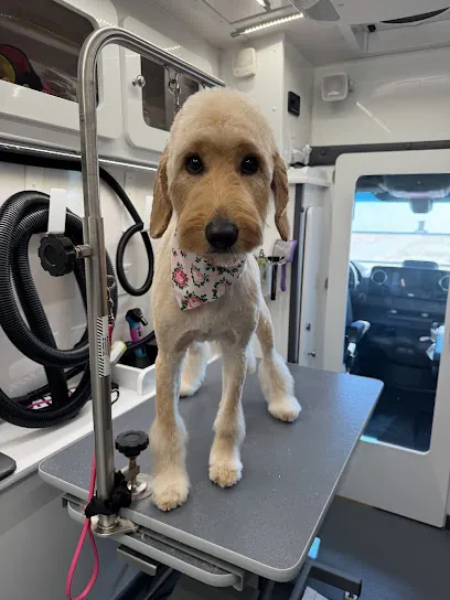 Pawlished Mobile Dog Grooming — photo from their website