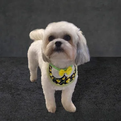 Tails By The Sea Mobile Pet Salon | Mobile Dog Grooming — photo from their website