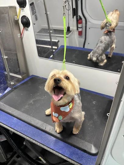 Barkbus Mobile Dog Grooming Charlotte — photo from their website
