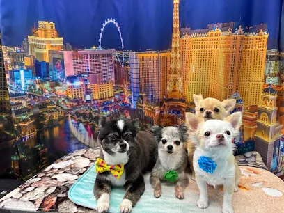 The Smiling Pooch Mobile pet grooming llc — photo from their website