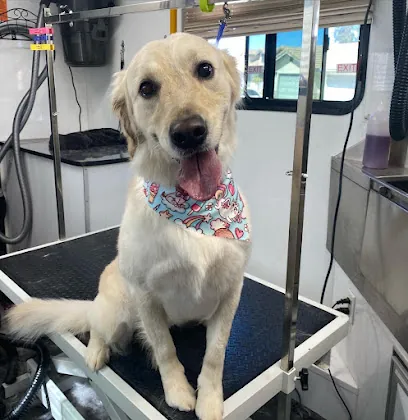 Bell’s Mobile Spa — photo from their website