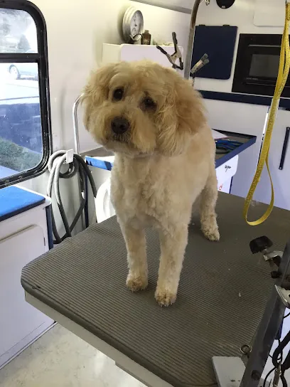 Dog's Best Friend Mobile Pet Grooming — photo from their website