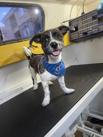 Captain Leash Mobile Dog Grooming & Sitter — photo from their website