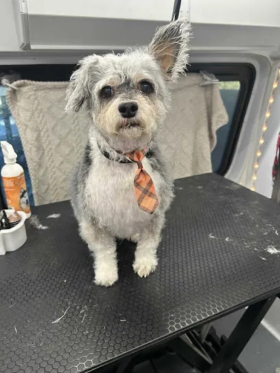 Lords of Dogtown Mobile Grooming — photo from their website