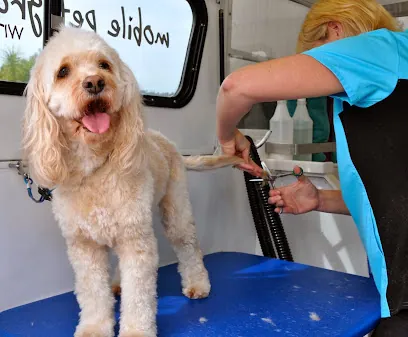 Awesome Doggies Mobile Pet Grooming — photo from their website