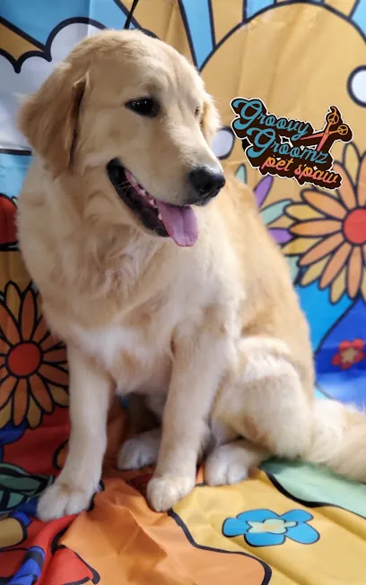 Groovy Groomz Pet Spaw Mobile Dog Grooming — photo from their website
