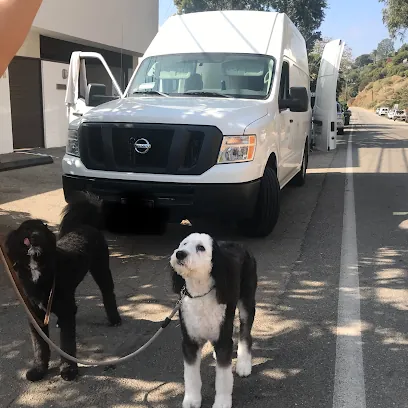 Splish splash mobile pet grooming — photo from their website