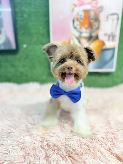 PET Zone Grooming Mobile — photo from their website