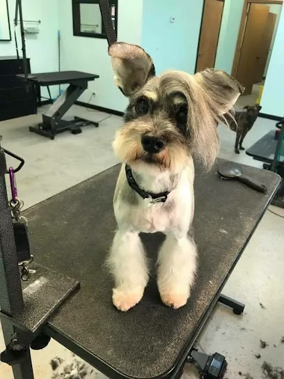 All About the Dogs — photo from their website