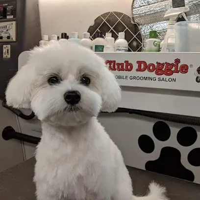 Club Doggie Mobile Grooming Salon — business logo from Google