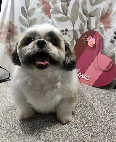Zen Dog Mobile Spa — photo from their website