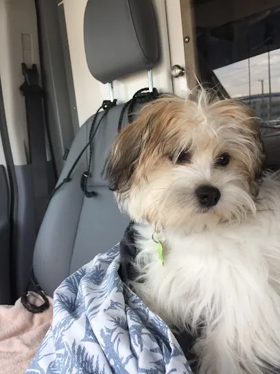 The Grooming Chariot Mobile Pet Grooming — photo from their website