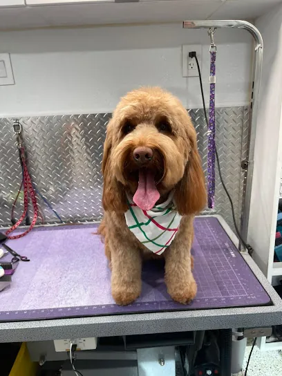 Fort Lauderdale Top Mobile Pet Grooming — photo from their website