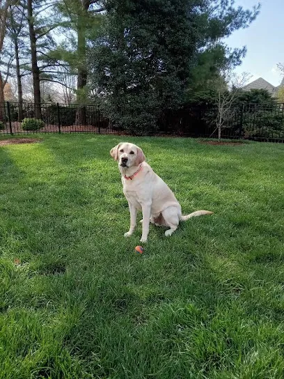 Wagging Tails Dog Walking/Pet Sitting/Mobile Grooming of Williamsburg LLC — photo from their website