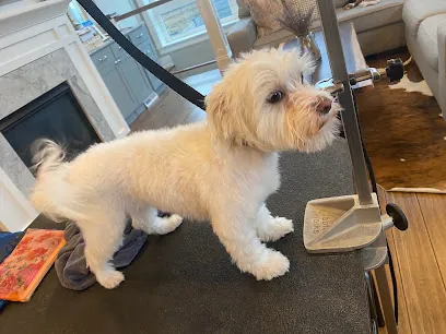 Ruff Kutz Mobile/house call Dog Grooming — photo from their website