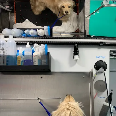 Furrytale Mobile Grooming LLC — photo from their website