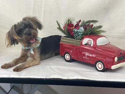 Doggie Doos Mobile Dog Grooming — photo from their website