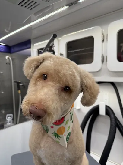 The Happy Canine Mobile Dog Spa — photo from their website