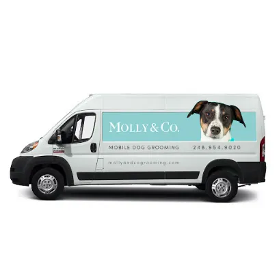 Molly & Co. Mobile Grooming — photo from their website