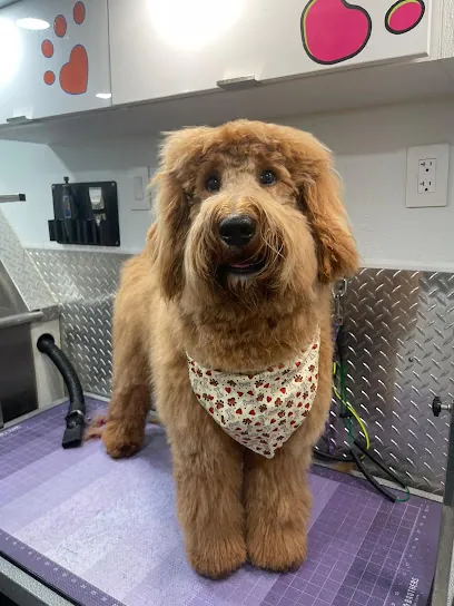 J&A Mobile Dog Grooming Services of Hollywood FL — photo from their website