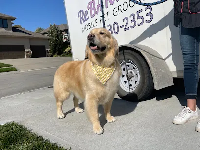 ReBARKable Mobile Pet Grooming — photo from their website