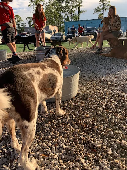 Squeaky Klean K-9s Mobile Grooming Spa — photo from their website