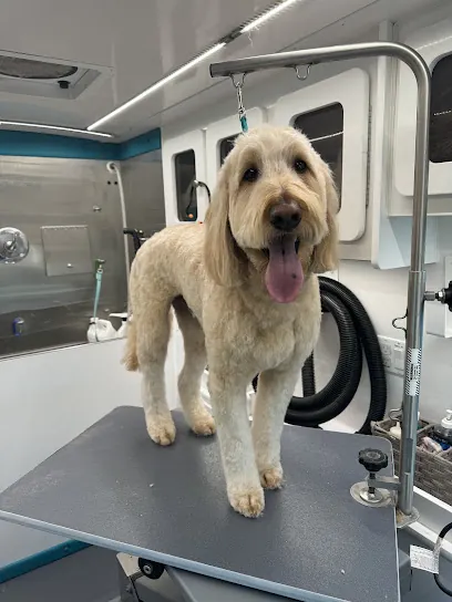 The Shaggy Mutt Hut Mobile Grooming — photo from their website