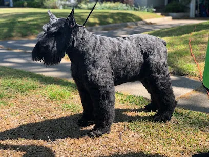 At Your Bark and Paw Mobile Pet Grooming — photo from their website