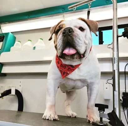 Orlando Mobile Dog Grooming — photo from their website