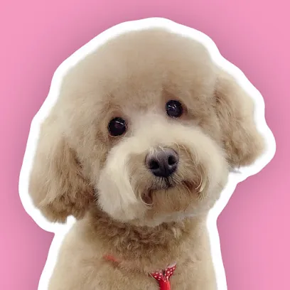 Golden Pet Spot Mobile Grooming — photo from their website