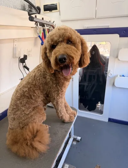 Kallis Pet Spa - Mobile Dog Grooming — photo from their website