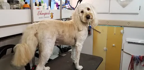 Shampooch Mobile Dog Grooming — photo from their website