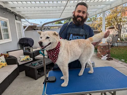 Anemal In-Home Pet Grooming Services — photo from their website