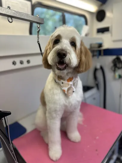 Golden Paws Mobile Dog Grooming — photo from their website