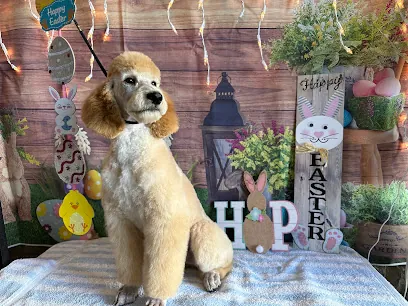 Deez Muttz Mobile Grooming — photo from their website