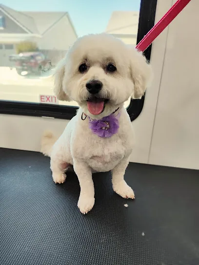 Ana's Mobile Dog Grooming — photo from their website