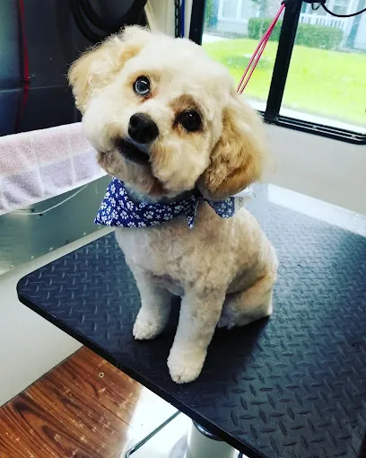 For Pet's Sake Mobile Dog Grooming LLC — photo from their website