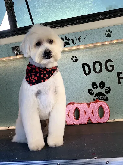 Dog Fashion Mobile Grooming — photo from their website