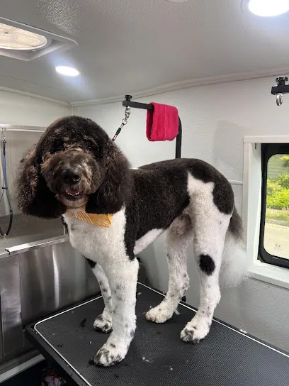 Tidy Tails Mobile Grooming — photo from their website