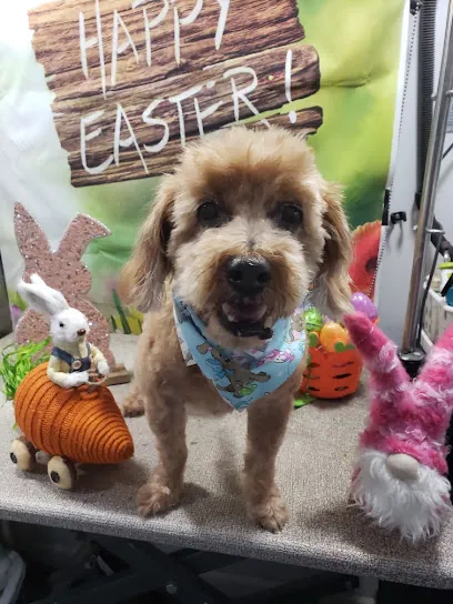 Doggies By Dannie Mobile Grooming Service — photo from their website