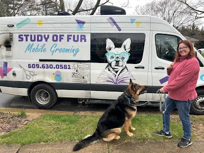 Study Of Fur Salon and Mobile Dog Grooming — photo from their website