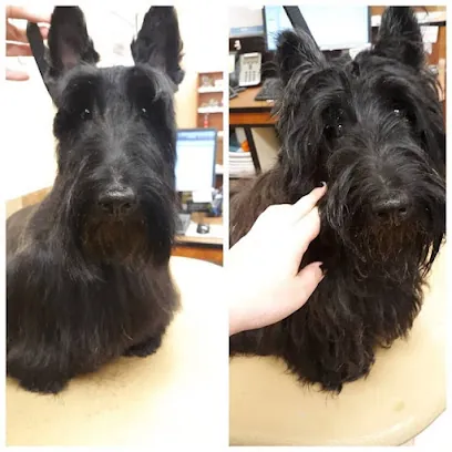 Mobile Pet Spaw — photo from their website
