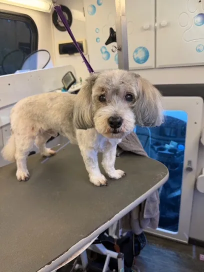 DJ Mobile Grooming — photo from their website