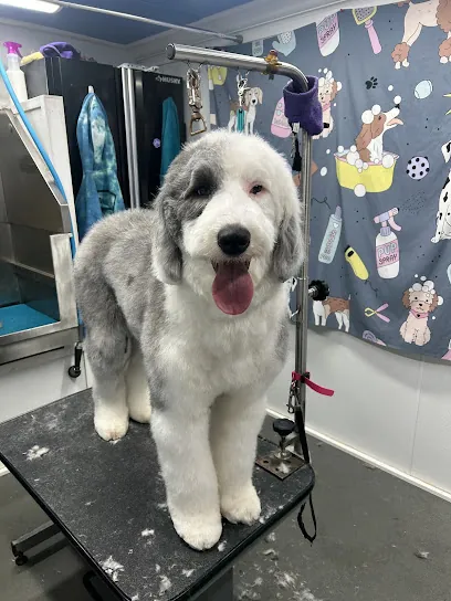Maddie's Mobile Dog Grooming — photo from their website