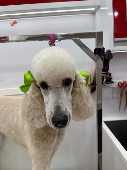 Love&Pets Mobile Dog Grooming of Tampa — photo from their website