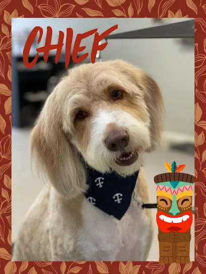 The Pawlor Mobile Pet Spa — photo from their website