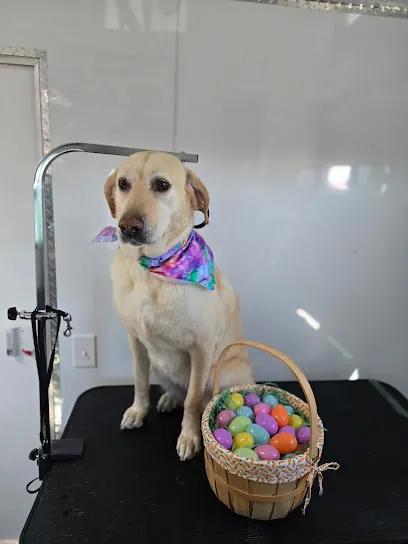 Le Paw Spa Mobile Dog Grooming — photo from their website