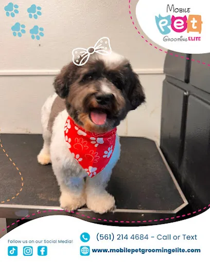 Mobile Pet Grooming ELITE — photo from their website