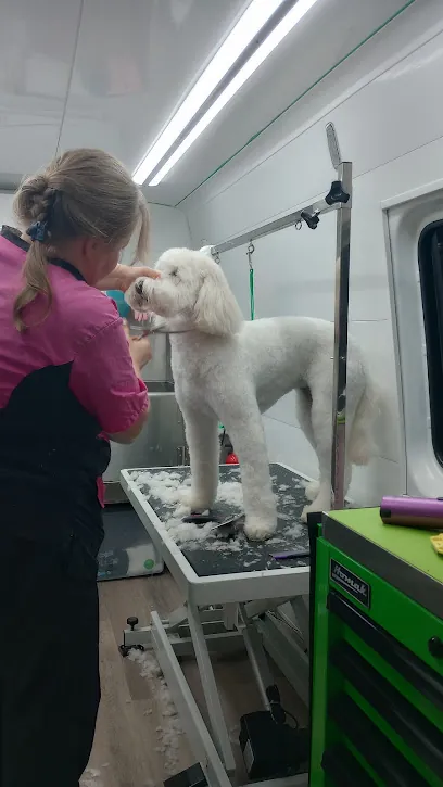 Goldiris Mobile Pet Grooming — photo from their website