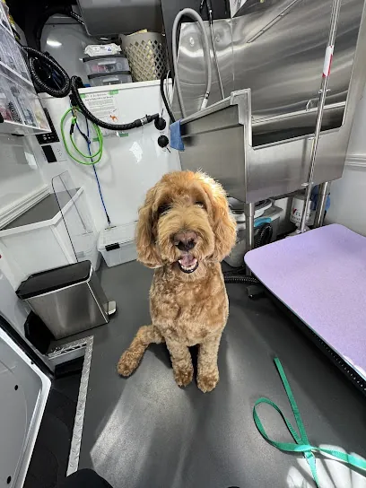 Carrie's Mobile Grooming — photo from their website